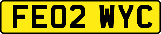 FE02WYC
