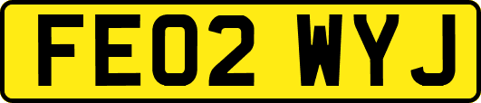 FE02WYJ