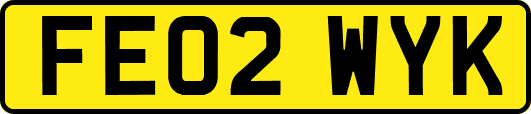FE02WYK