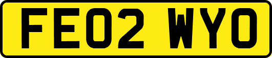 FE02WYO