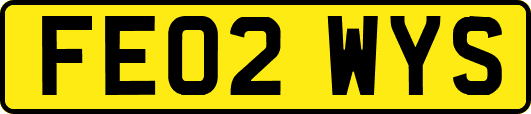 FE02WYS