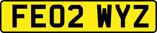 FE02WYZ