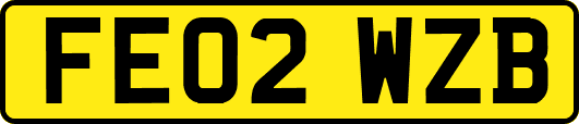 FE02WZB