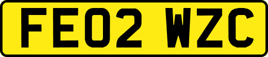 FE02WZC