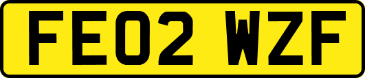 FE02WZF