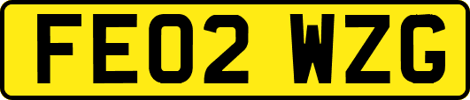 FE02WZG