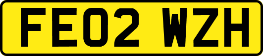 FE02WZH