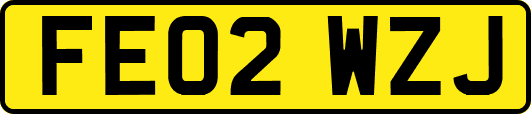 FE02WZJ