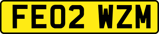 FE02WZM