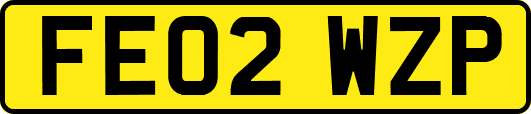 FE02WZP
