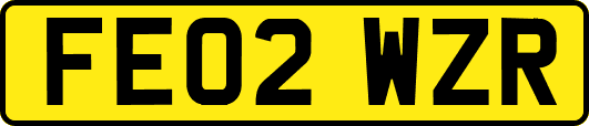 FE02WZR