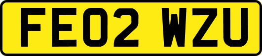 FE02WZU