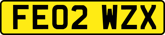 FE02WZX