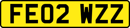 FE02WZZ