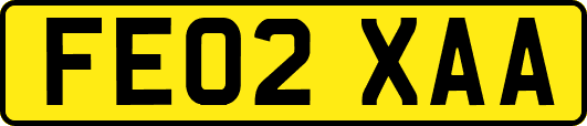 FE02XAA