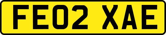 FE02XAE