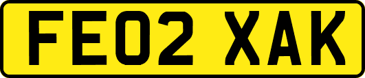 FE02XAK