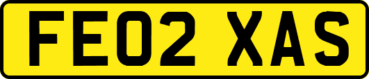 FE02XAS