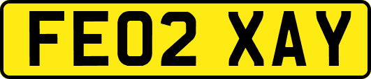 FE02XAY