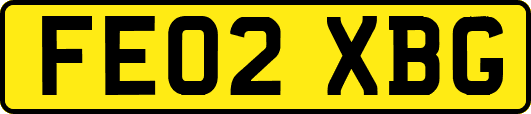 FE02XBG
