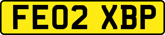 FE02XBP