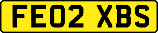 FE02XBS