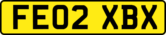 FE02XBX