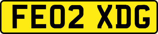 FE02XDG