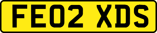 FE02XDS