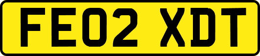 FE02XDT