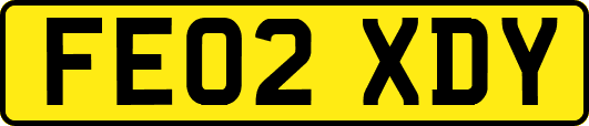 FE02XDY