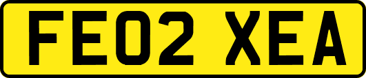 FE02XEA