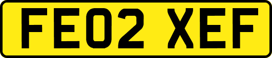 FE02XEF