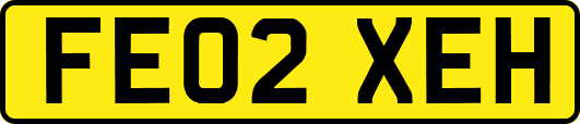 FE02XEH