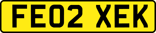 FE02XEK