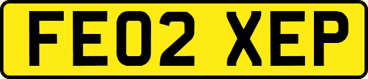 FE02XEP