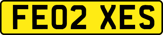 FE02XES