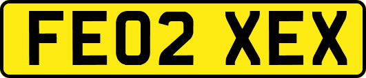 FE02XEX