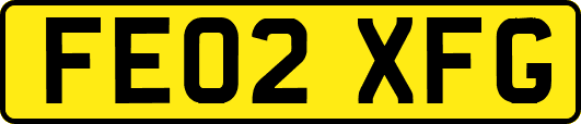 FE02XFG