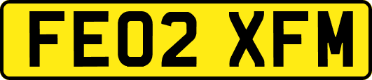 FE02XFM