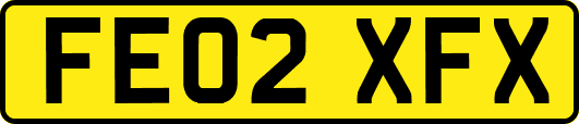FE02XFX