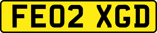 FE02XGD