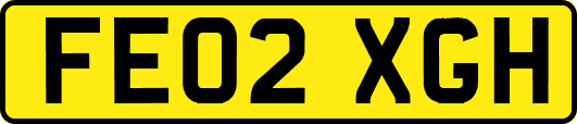 FE02XGH