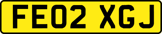 FE02XGJ