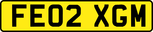 FE02XGM