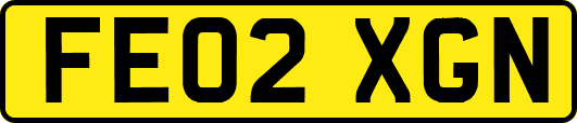 FE02XGN