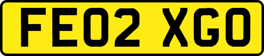 FE02XGO