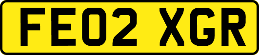 FE02XGR