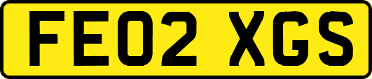 FE02XGS