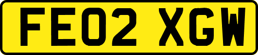 FE02XGW